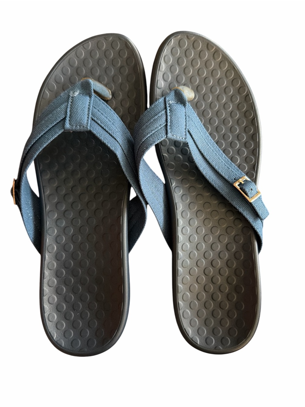 Vionic Women's Blue Canvas Strap Flip Sandals